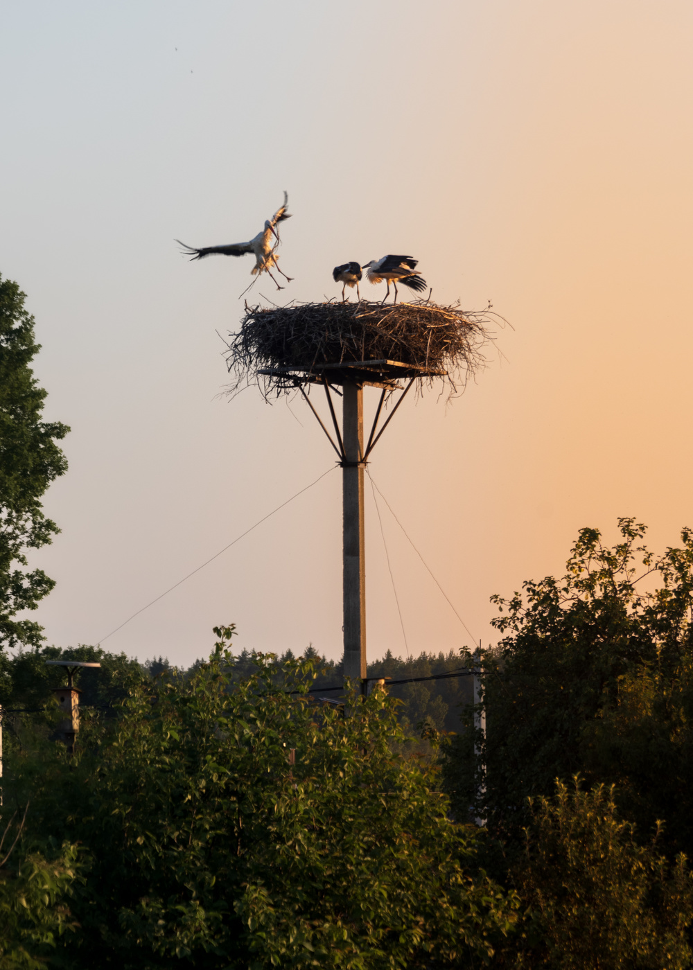 Июльский закат в деревне