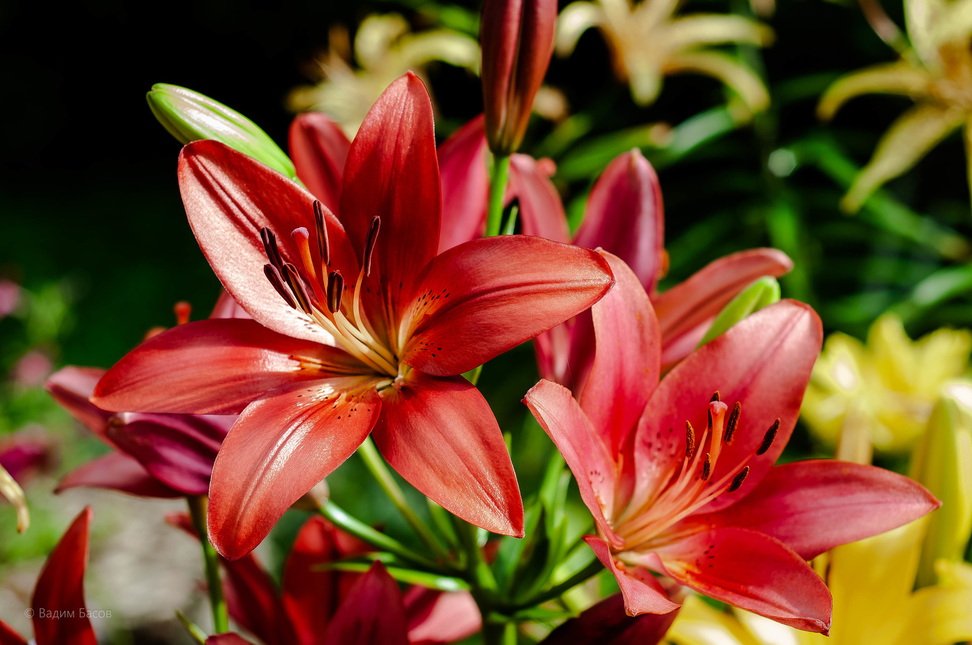 Внимание без повода — самый ценный подарок.