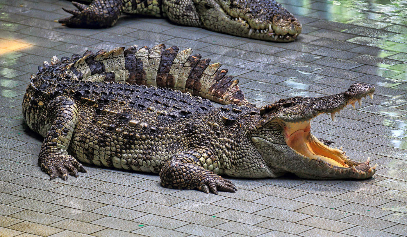 Доброго пожаловать...