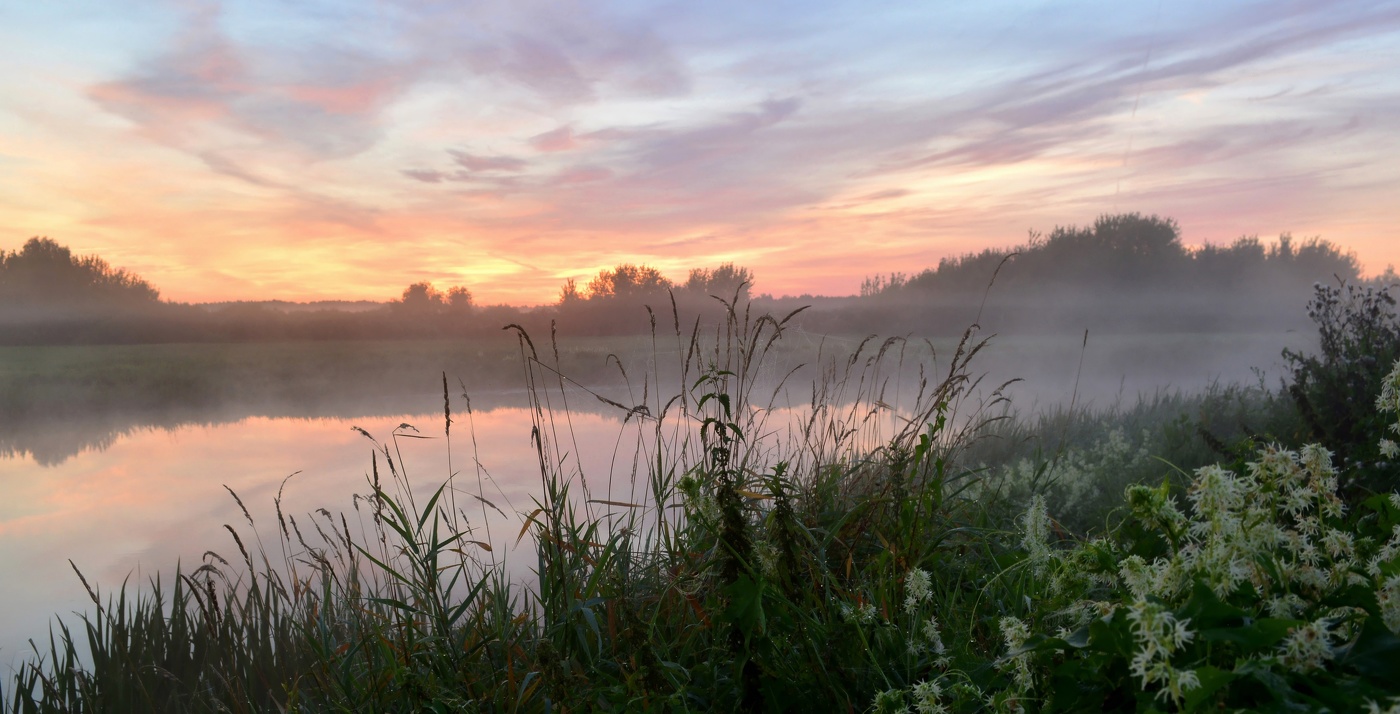 Утро на тихой реке