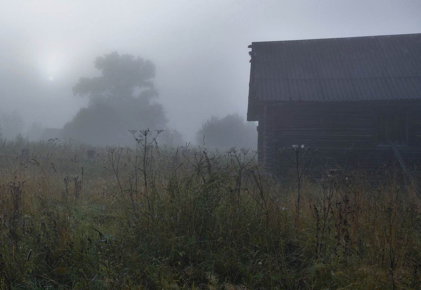Утро в деревне ...