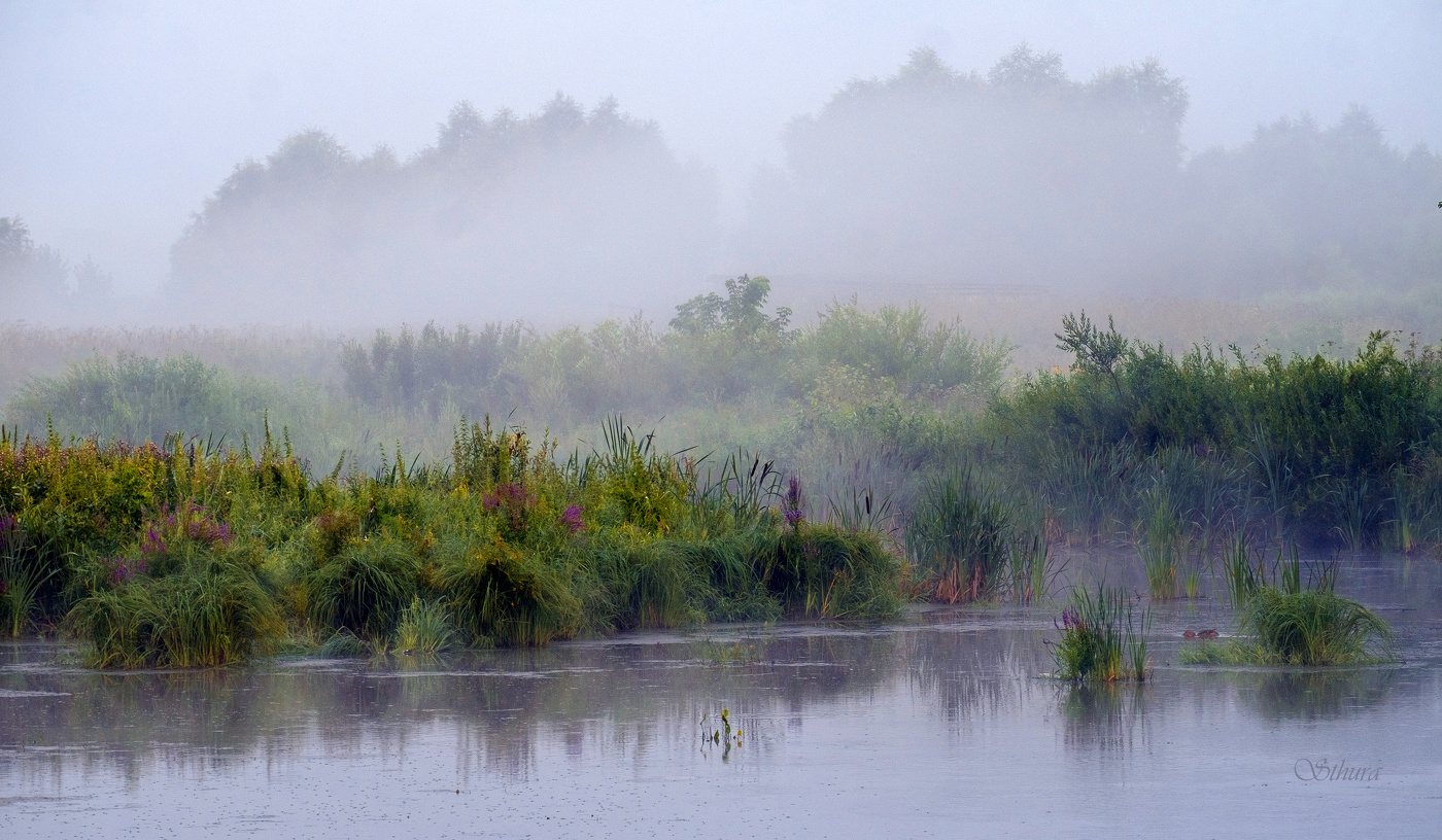 Рано утром.