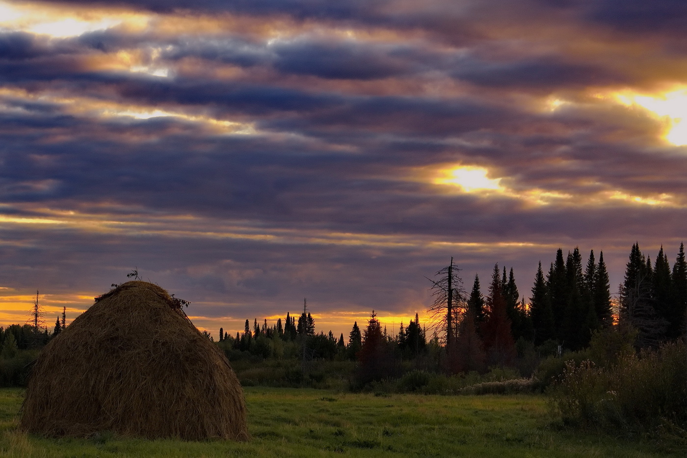 Летним вечером.