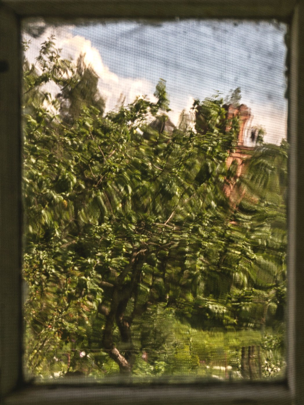 Жизнь вокруг