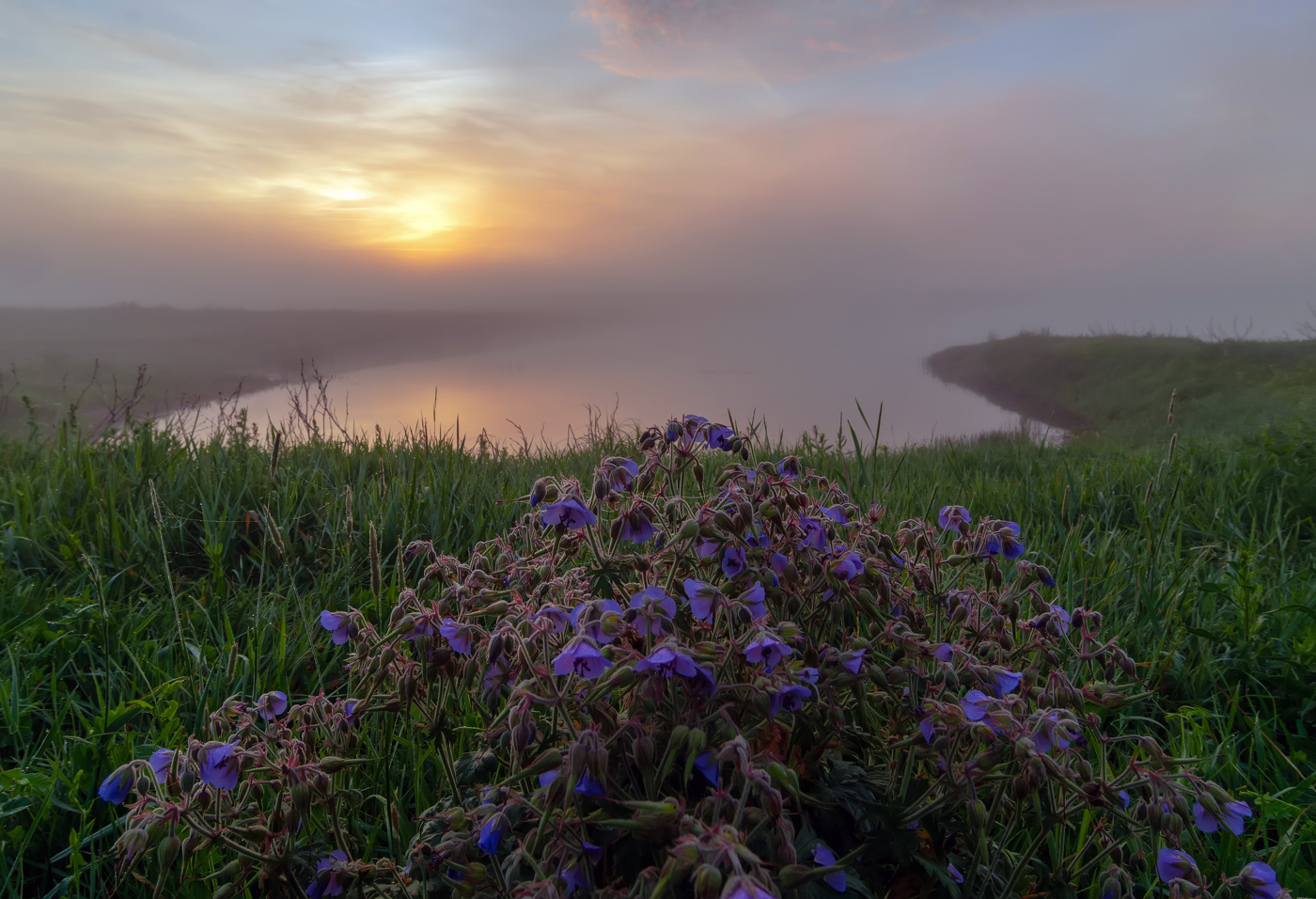 туманным рассветом