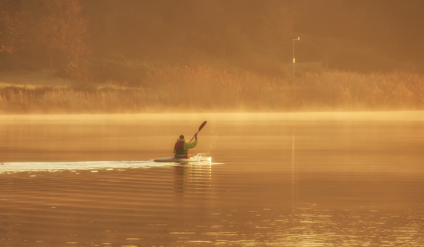 Утренний заплыв