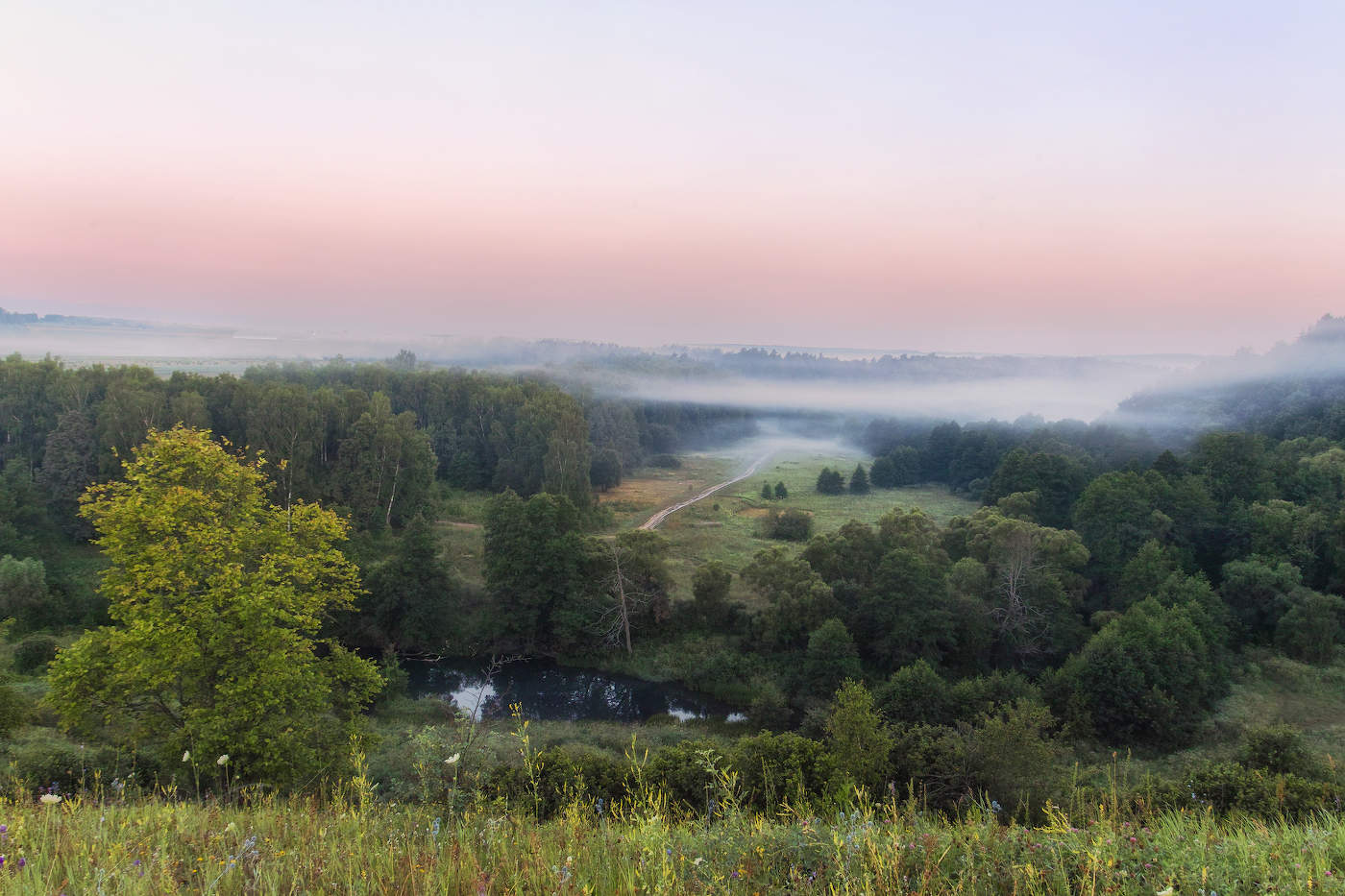 Туманный горизонт