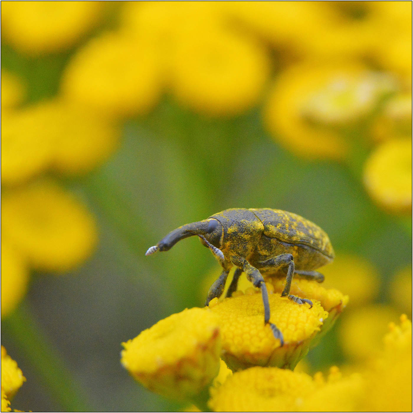 А вокруг красота-то.