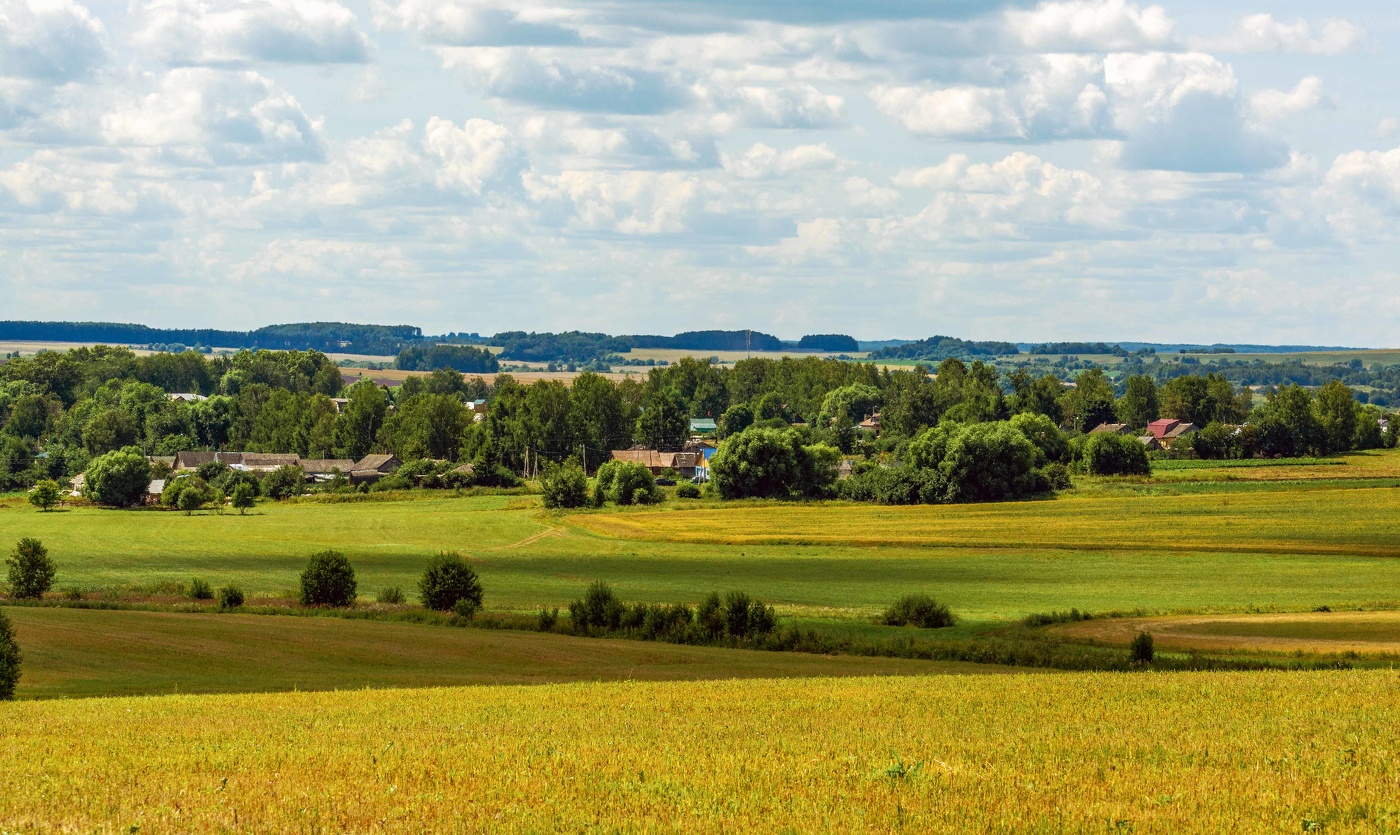 летние зарисовки