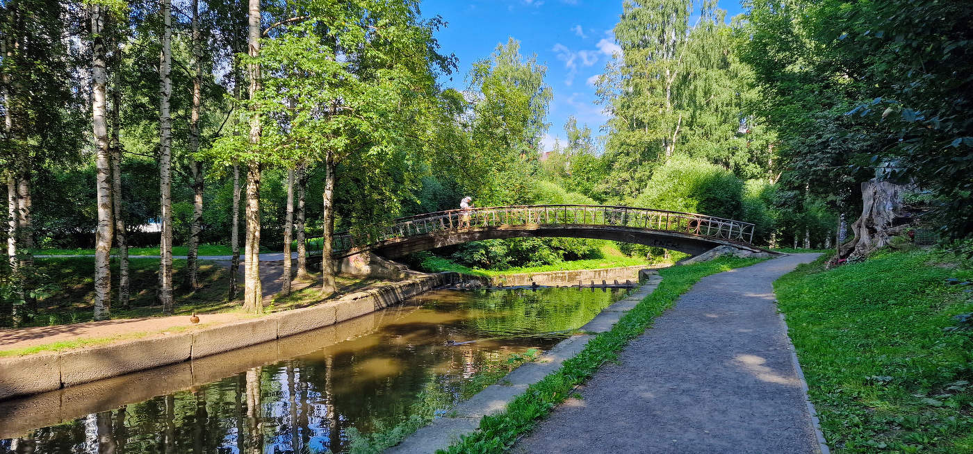 Прогулка у пруда