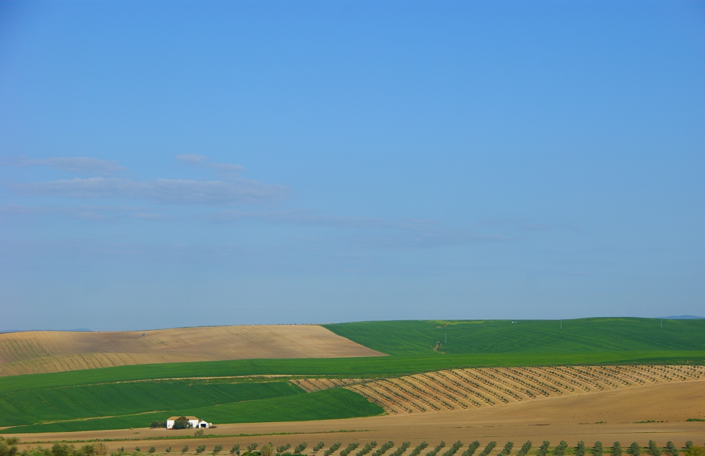 Белый домик