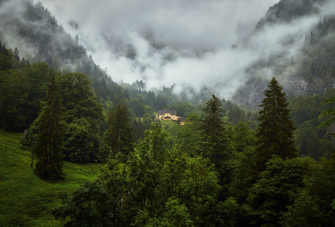 умытые дождем