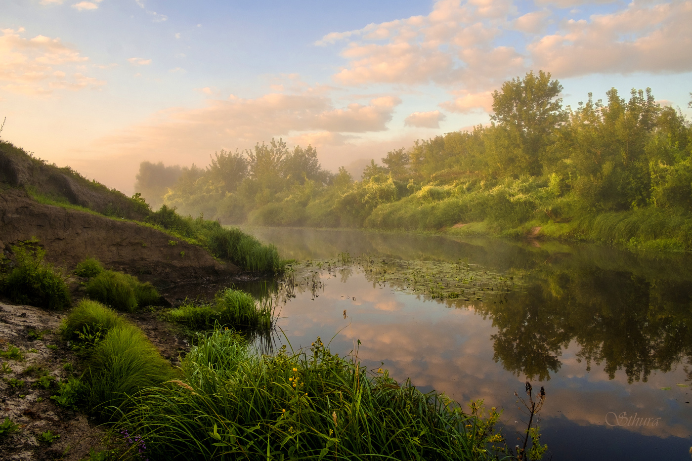Летним утром.