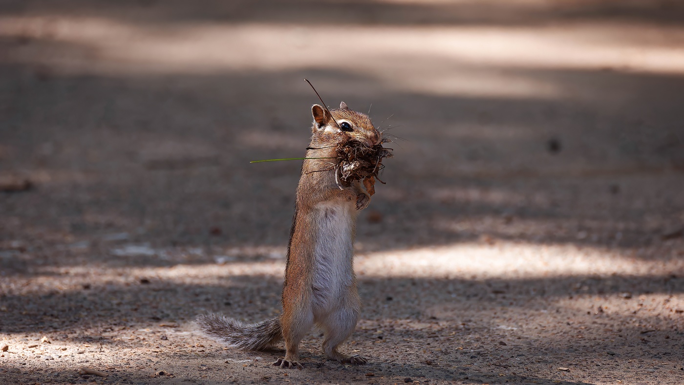 Зима не за горами!