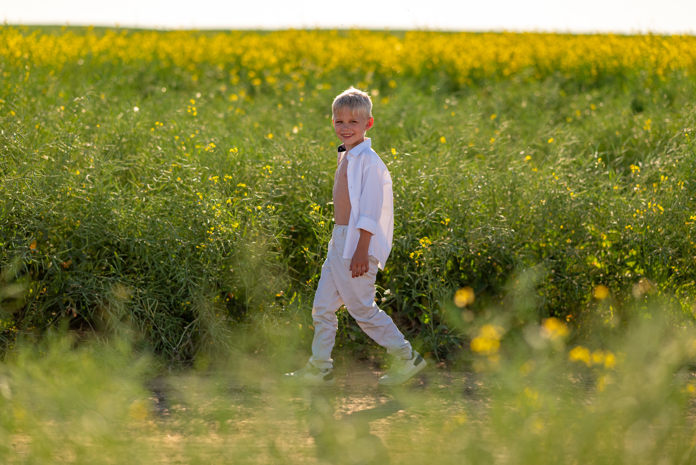 Матвей в рапсовом поле