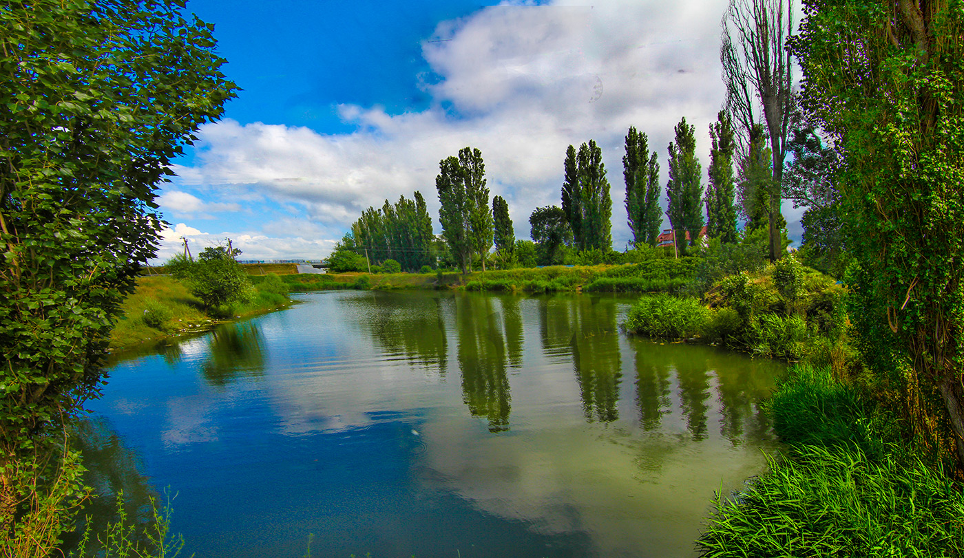 Тополя, тополя...