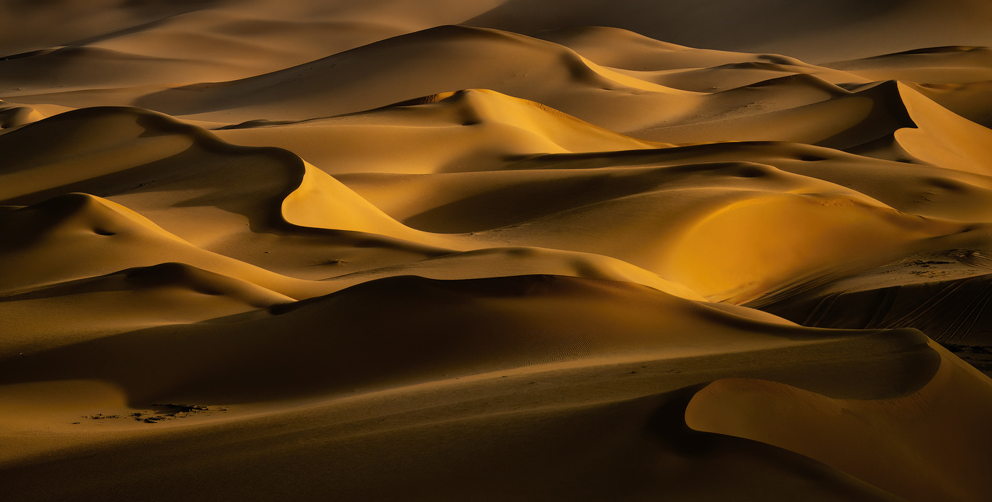 Волны пустыни