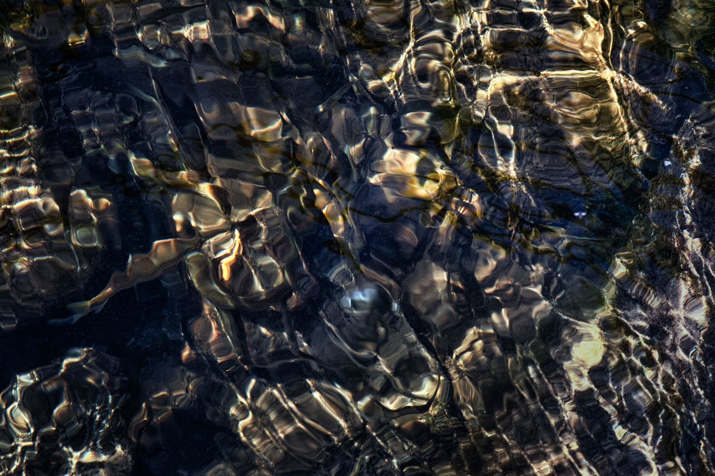 Жизнь вокруг