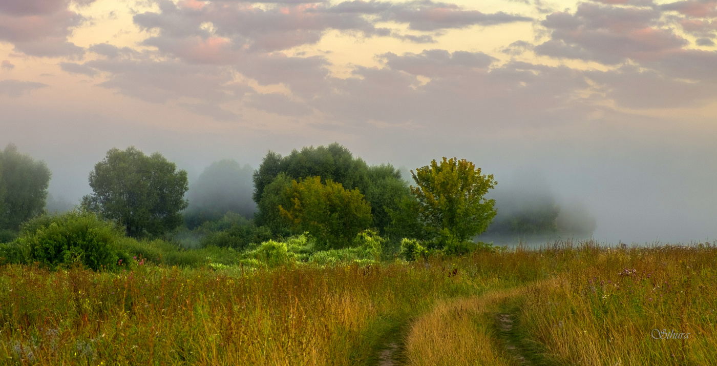 Когда встаёт солнце.