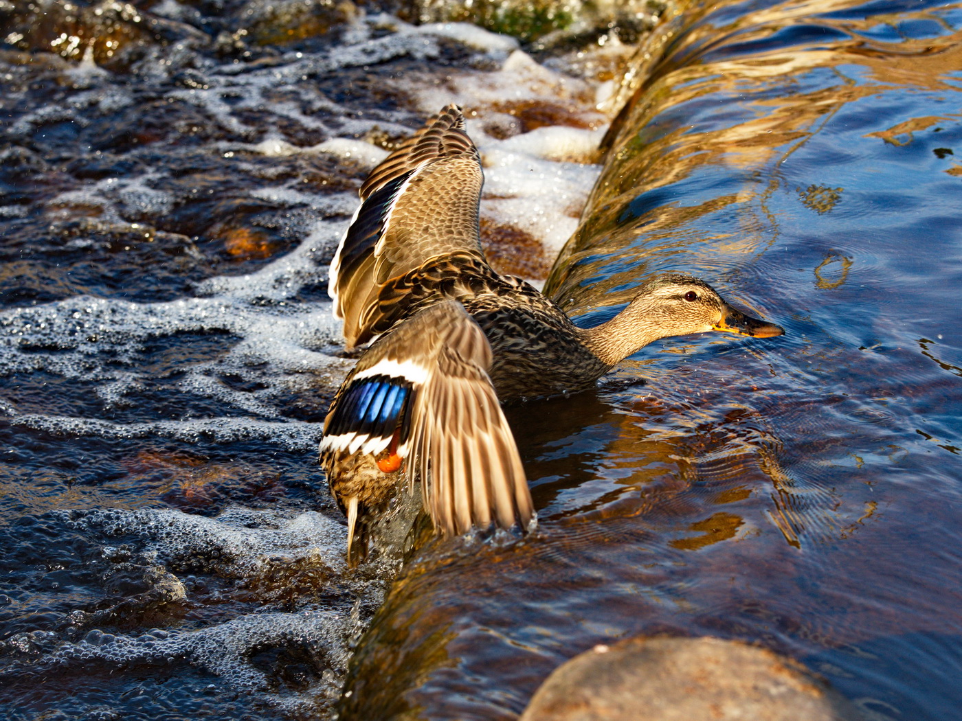 Преодаление.