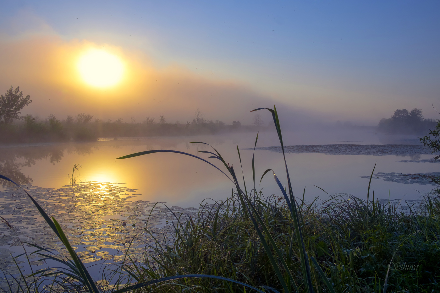 Начало летнего дня.