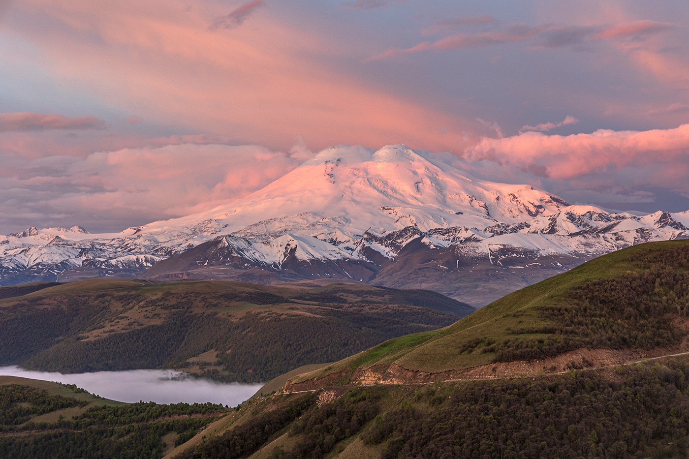 В розовом цвете