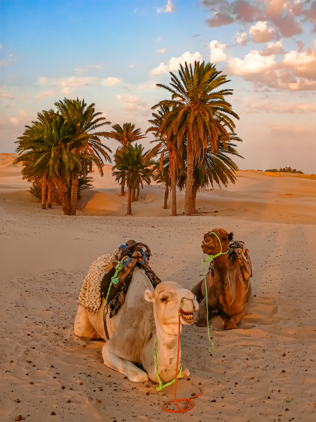 Эти фотографы, такие смешные!