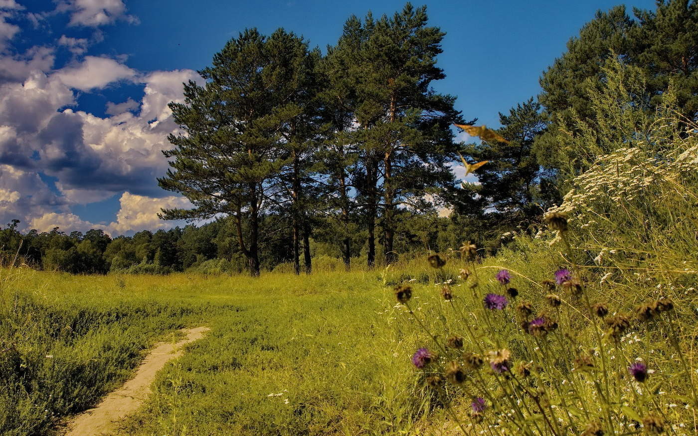 **Жарким днём.*