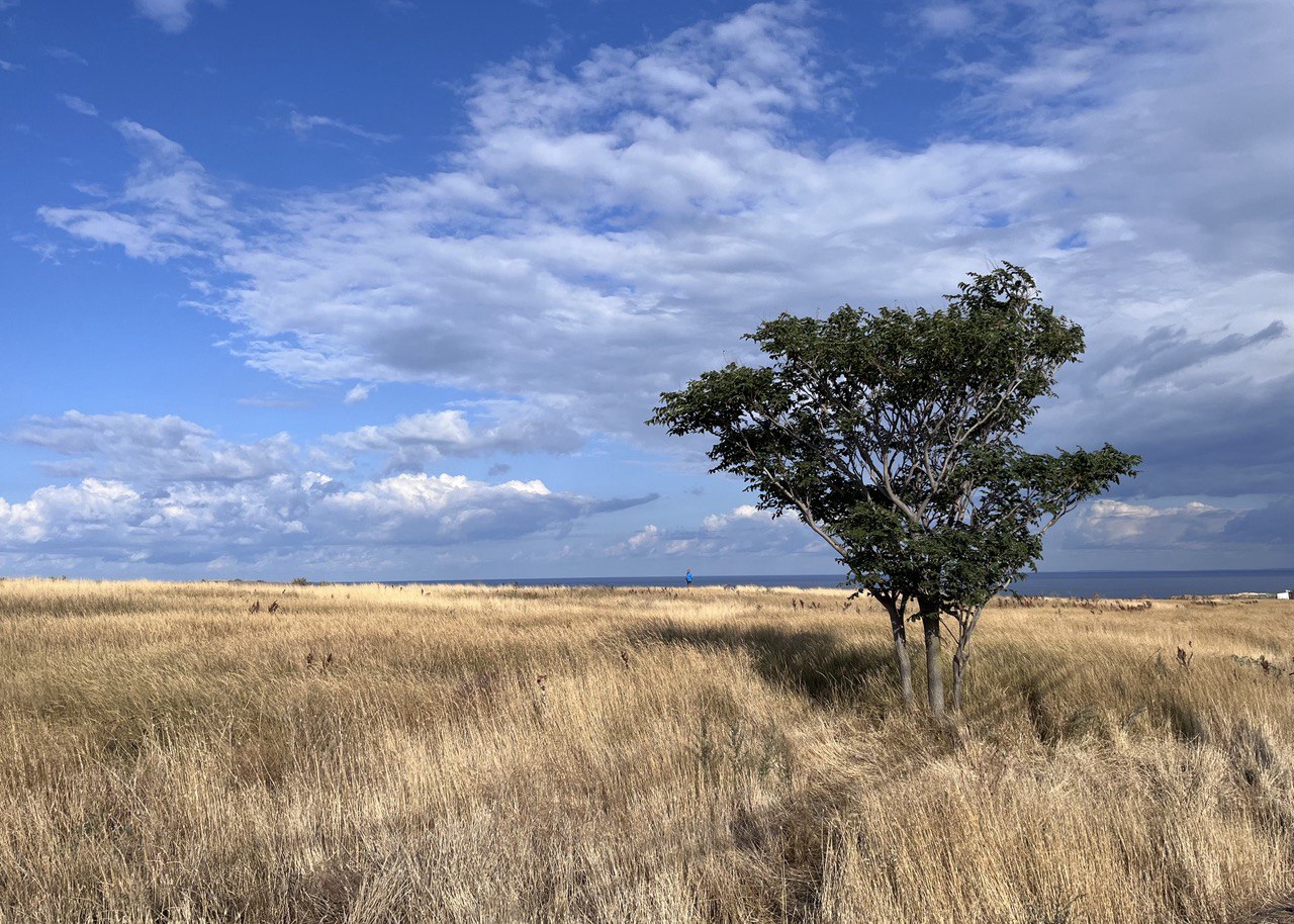 На семи ветрах