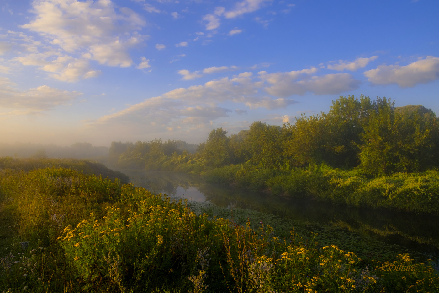 Середина лета.
