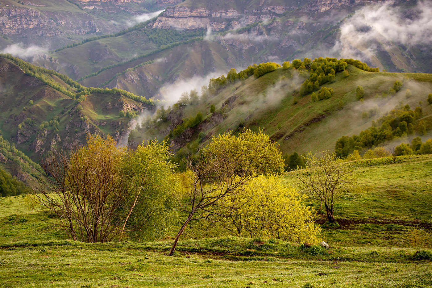 Высокогорная весна