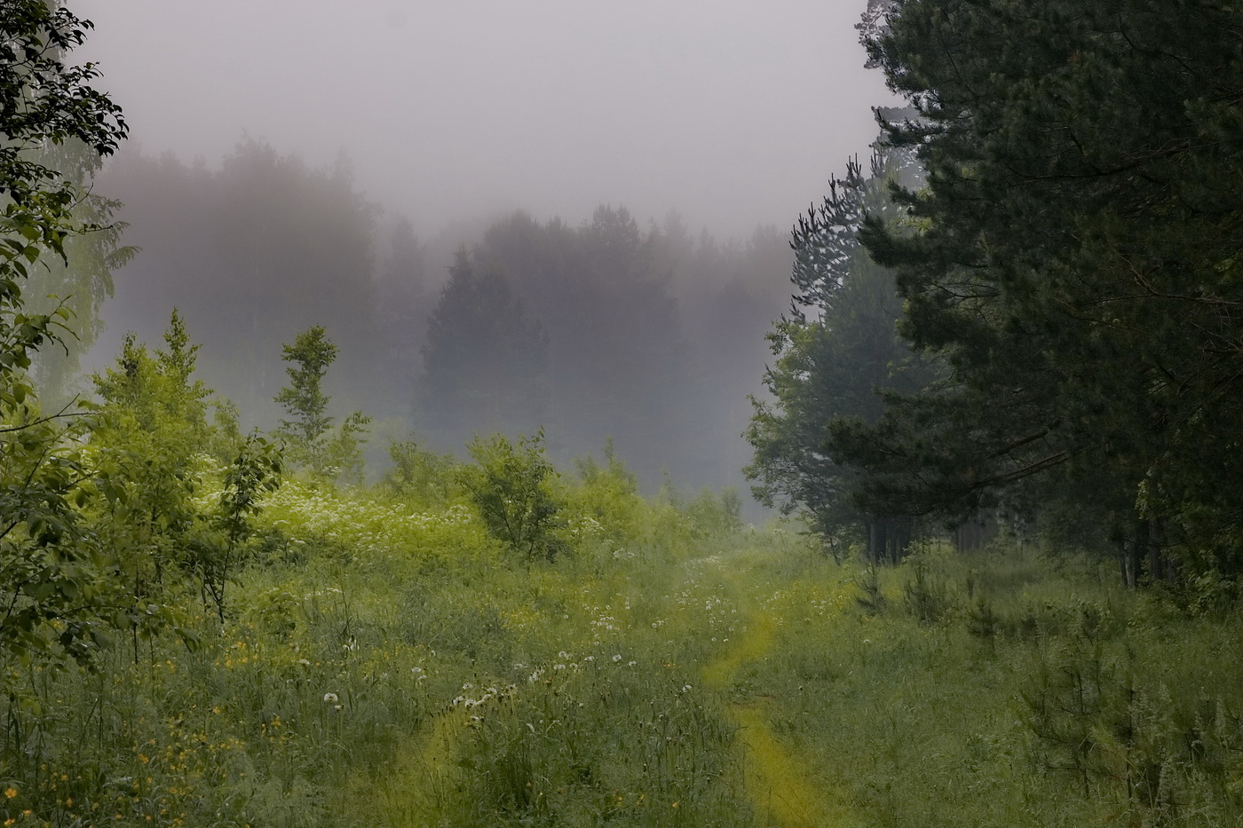 *Летнее утро.**