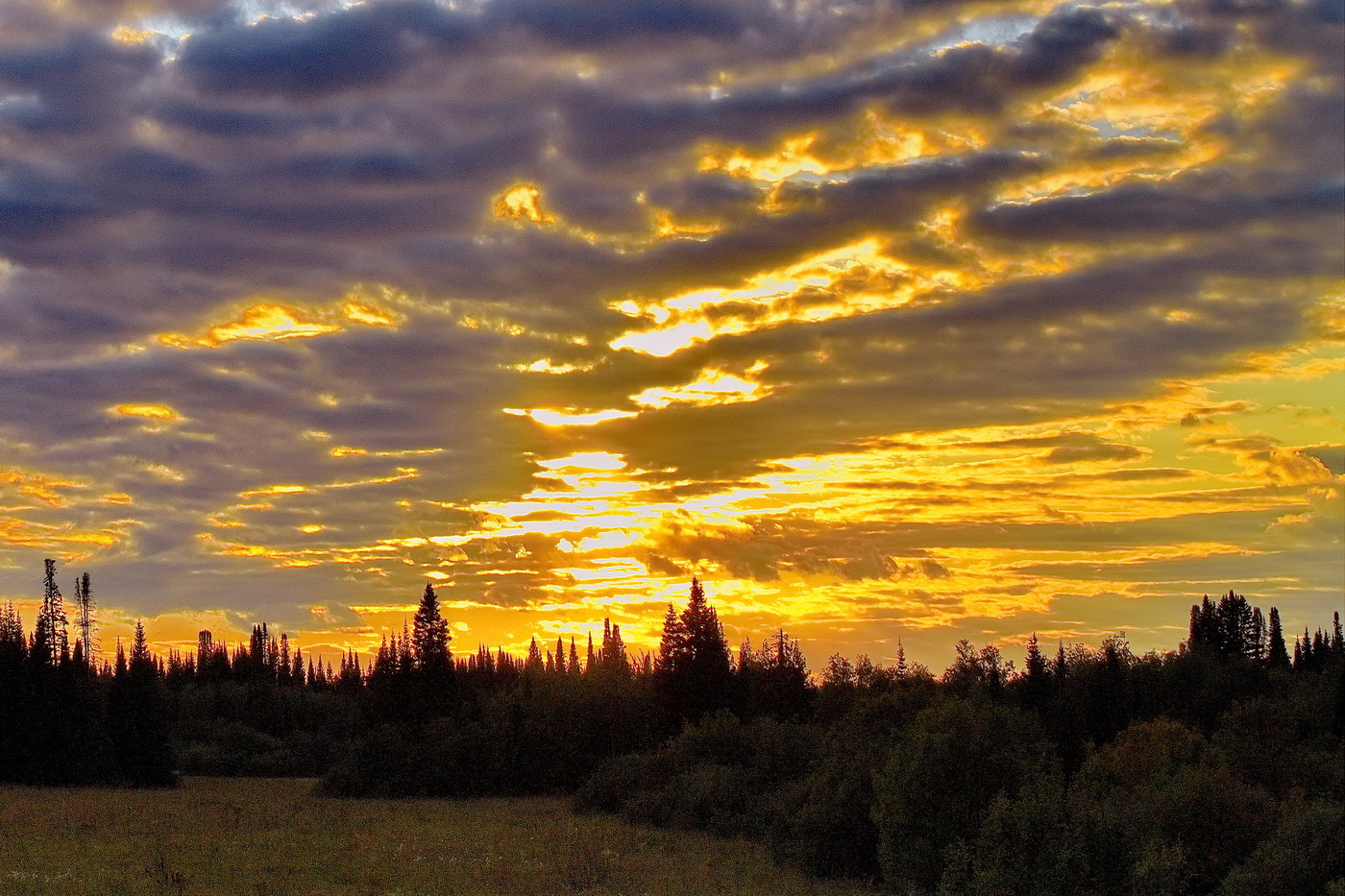 Краски летнего вечера.