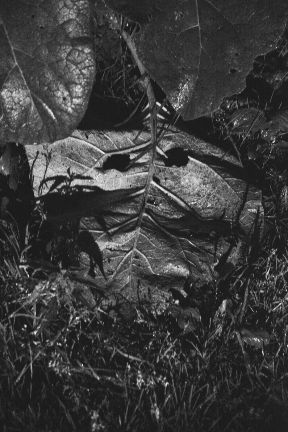 Жизнь вокруг