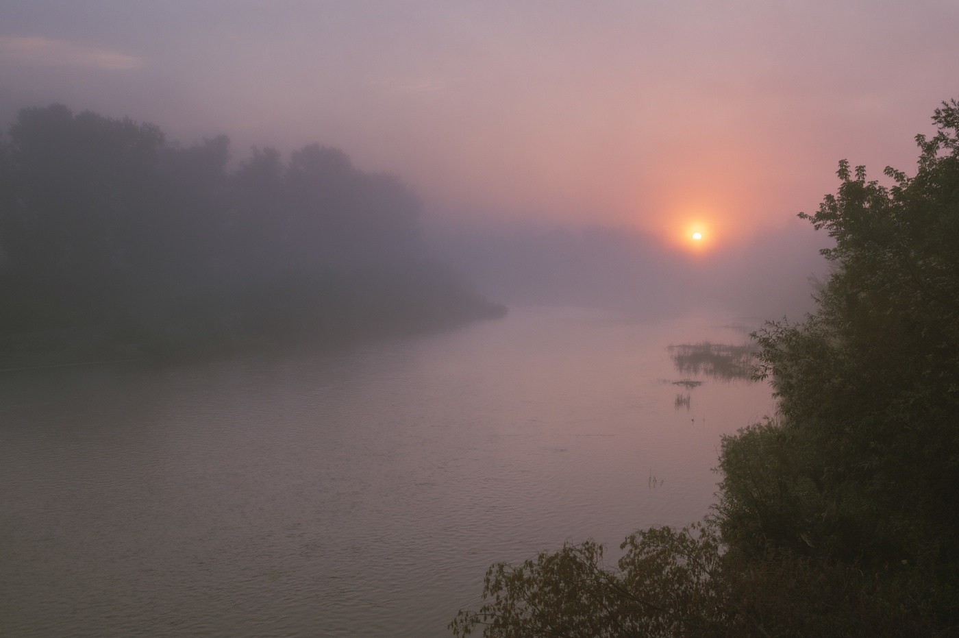 сезон туманов