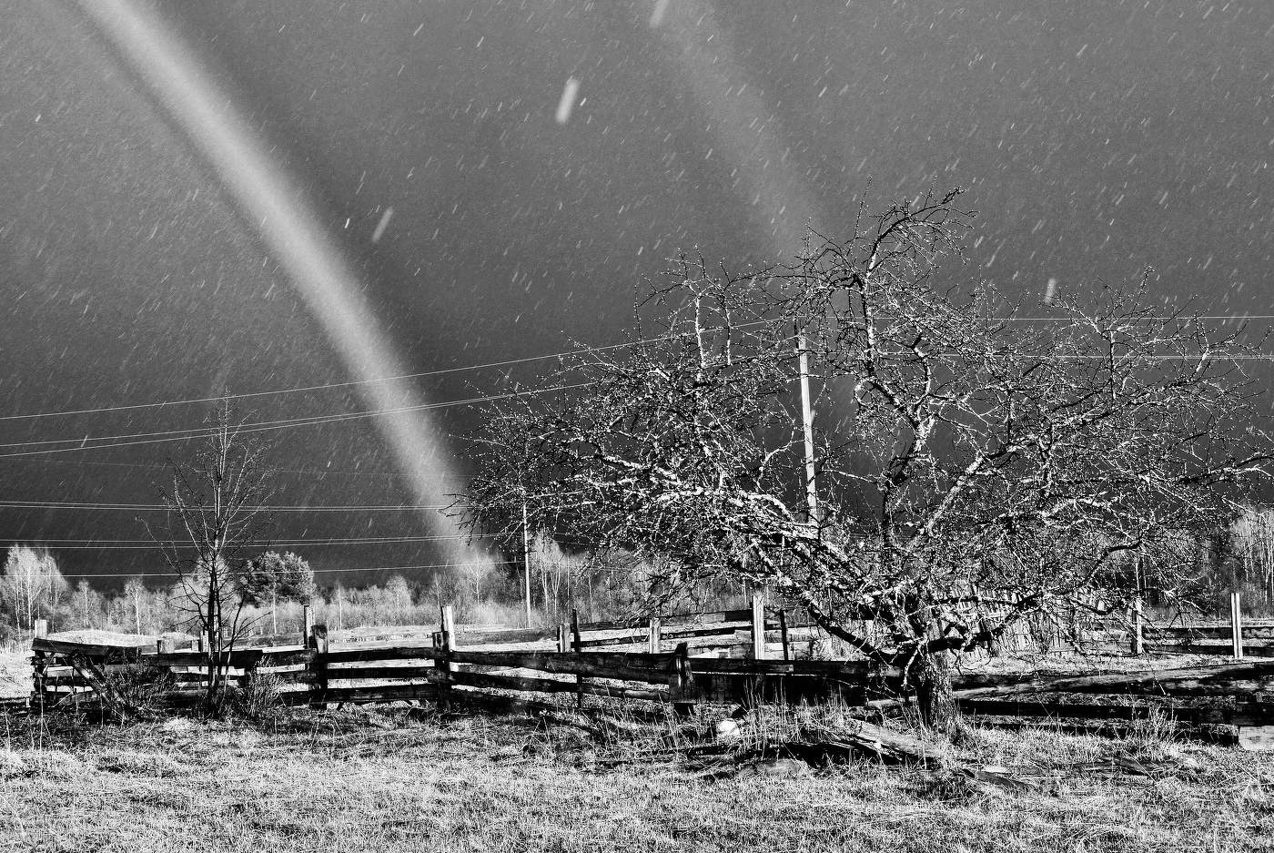 Весенний дождь ...