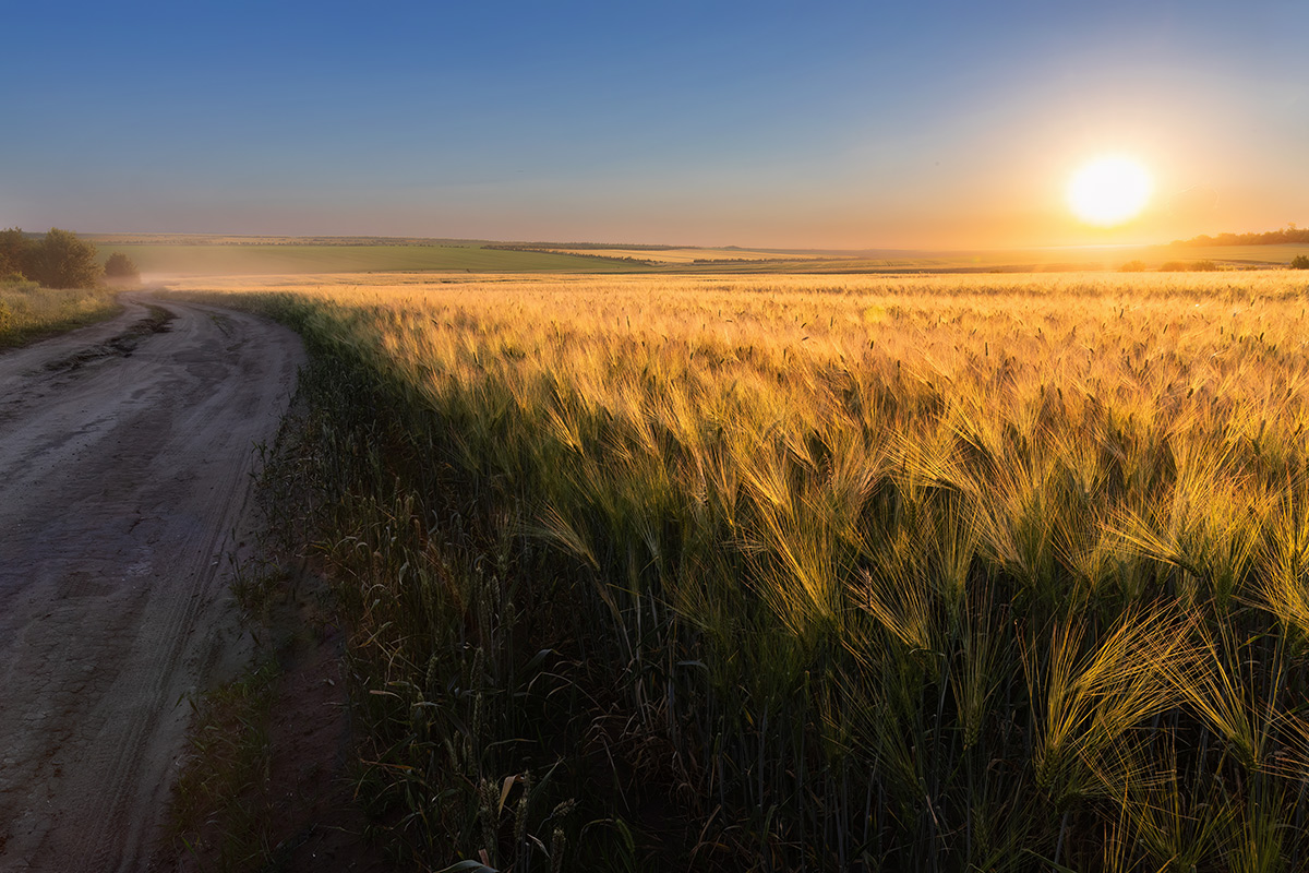 Летний вечер