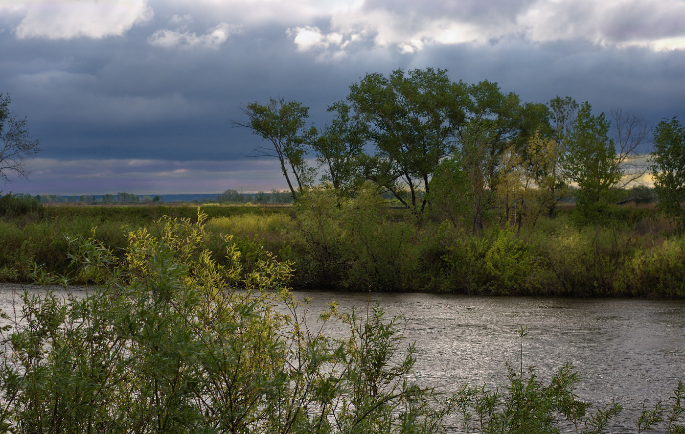 перед дождем