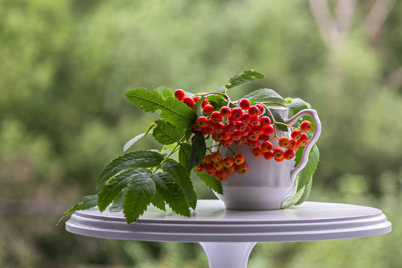 Здравствуй, Август!..