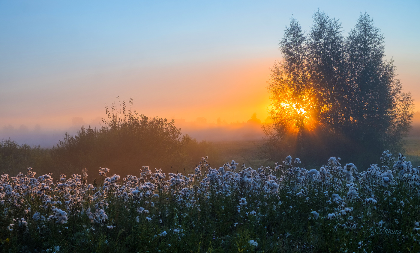 Мгновение утра.
