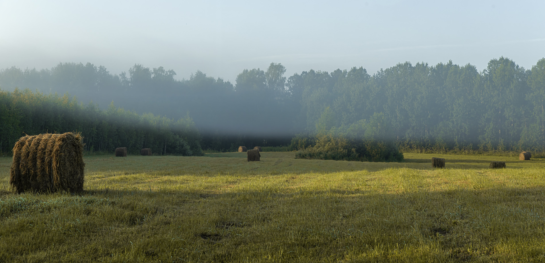 Август, утро...