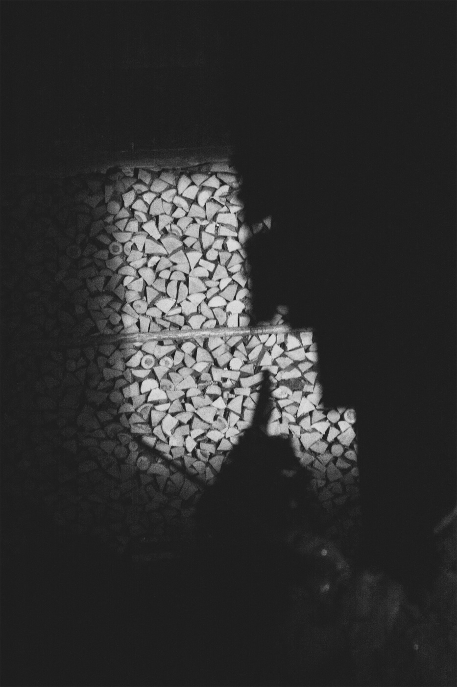 Жизнь вокруг