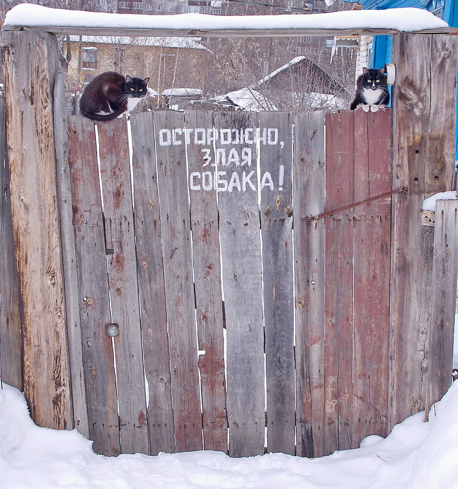 Осторожно, злая собака!