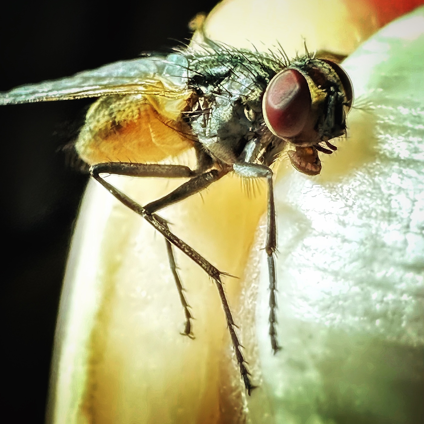 Ура! Поймал