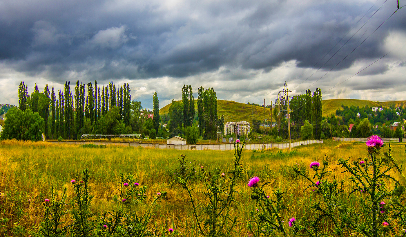 Будяки за околицей