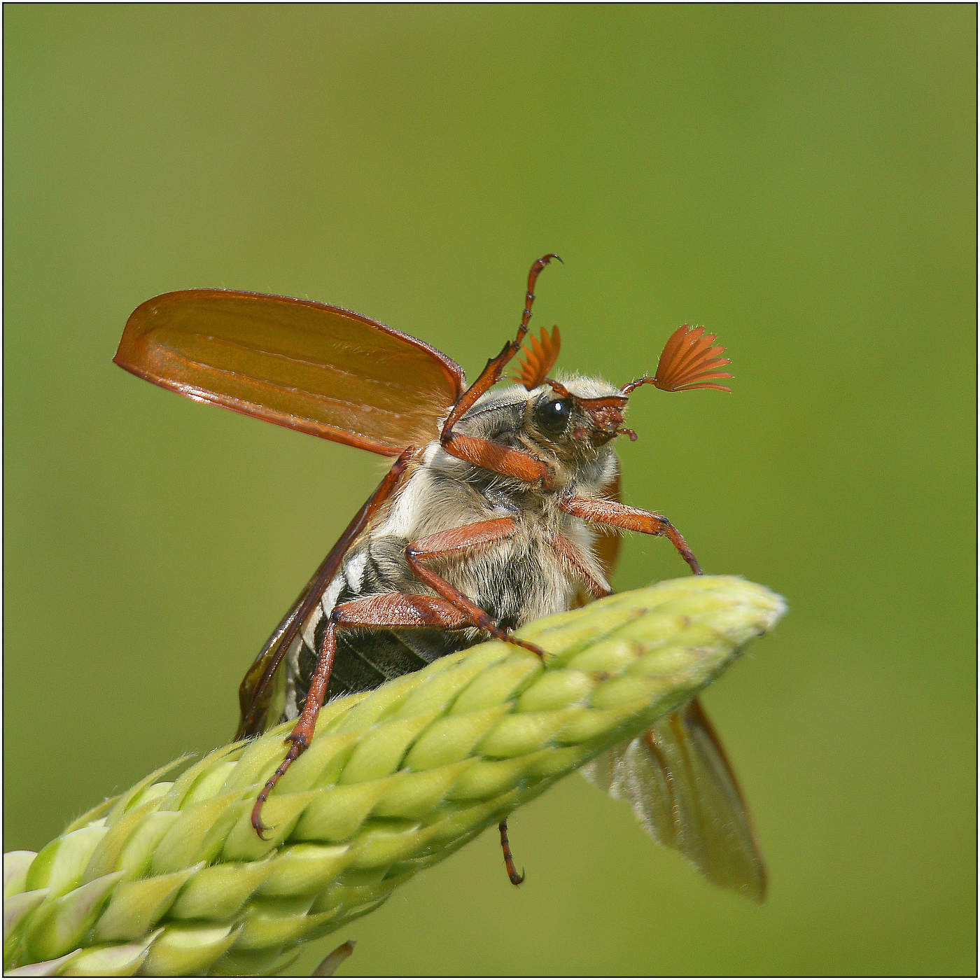 И снова полет.