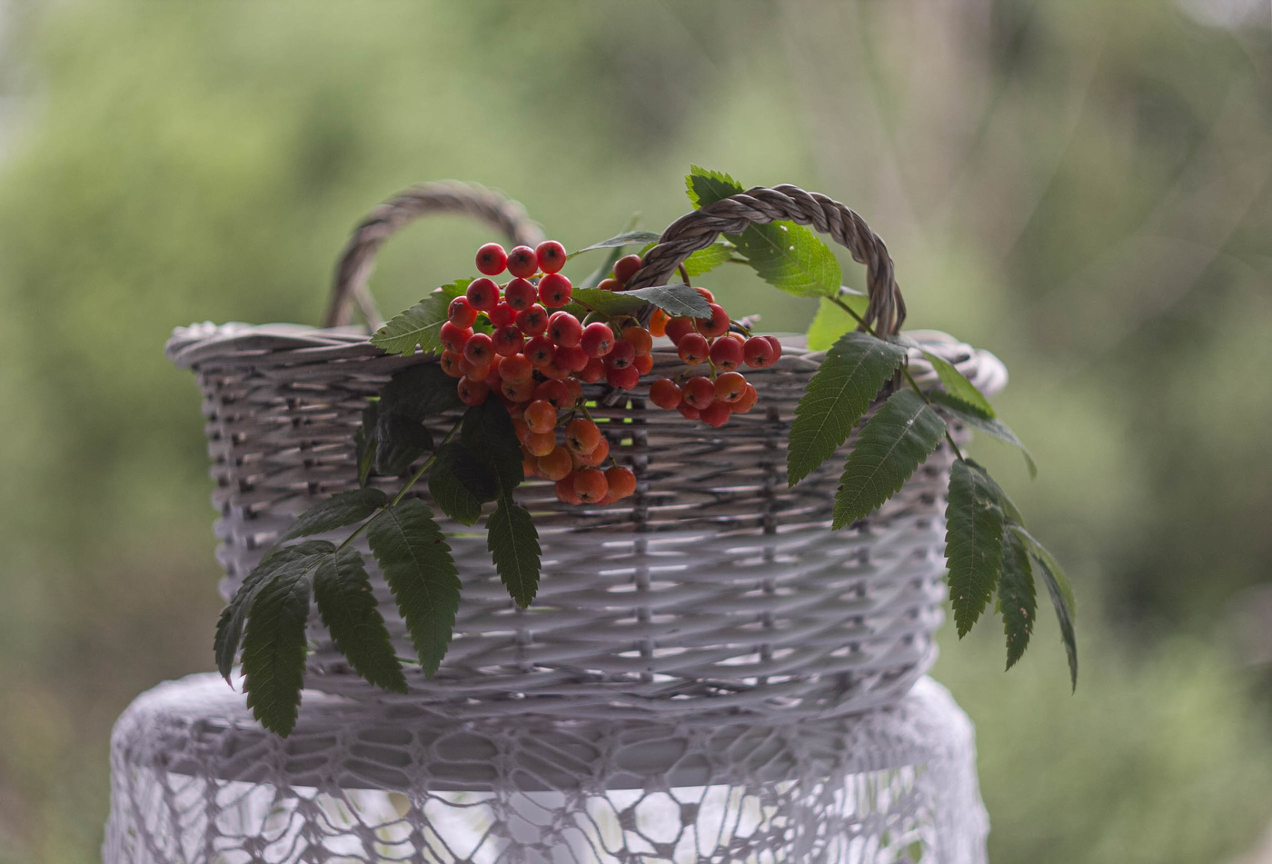 "Красною кистью рябина зажглась"...