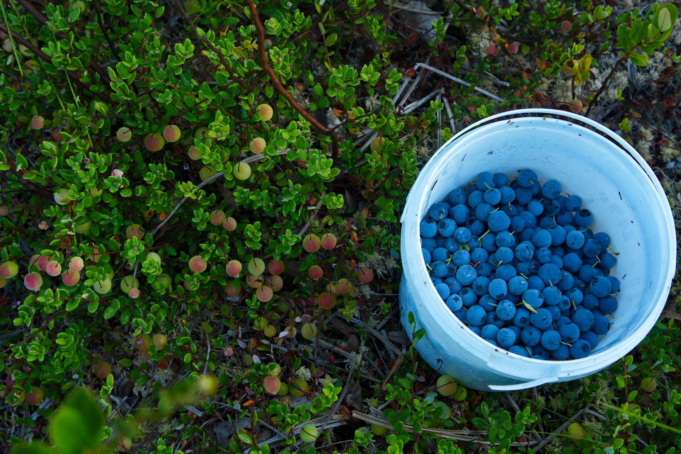 На берегу озераю