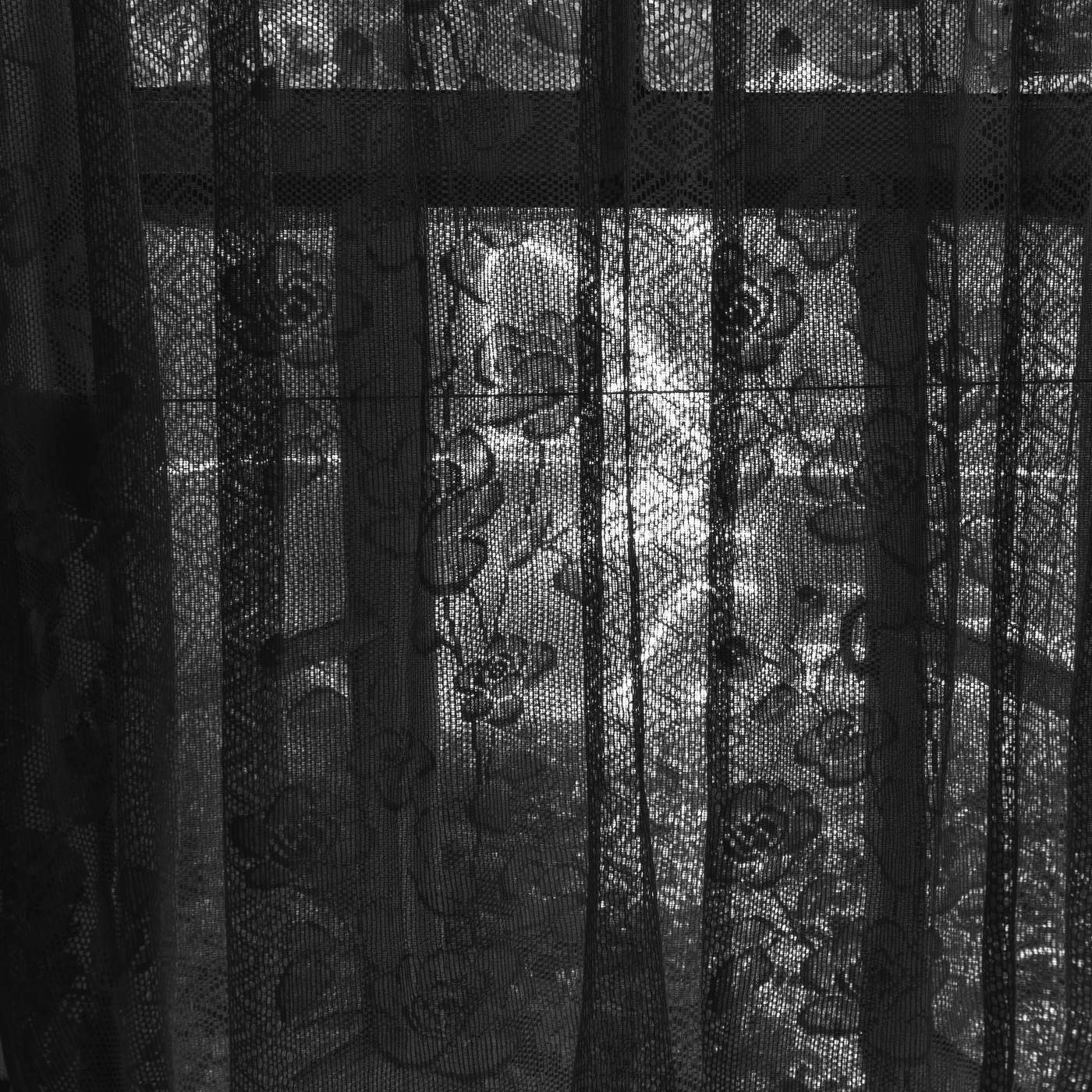 Жизнь вокруг