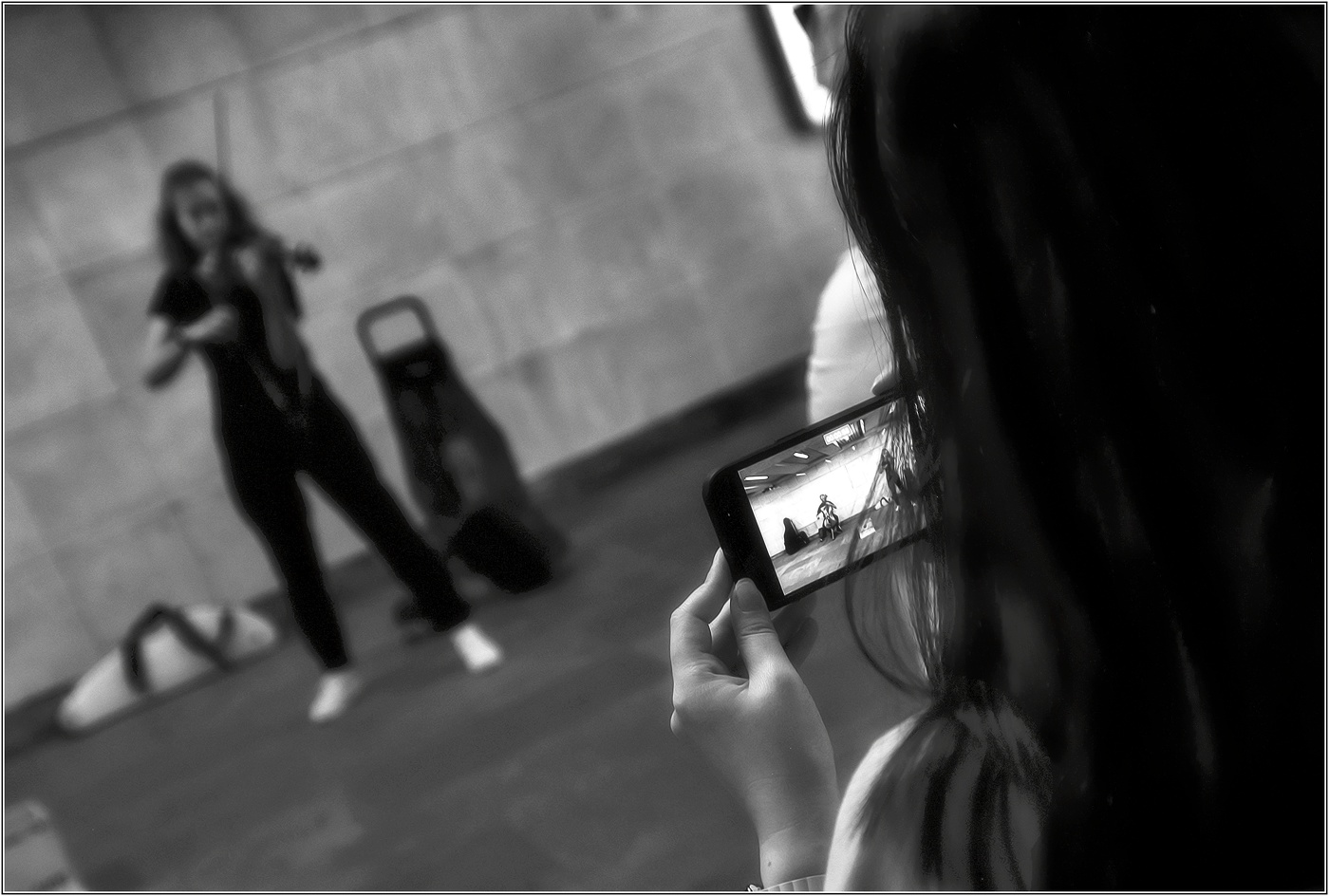 ..... Скрипка .....